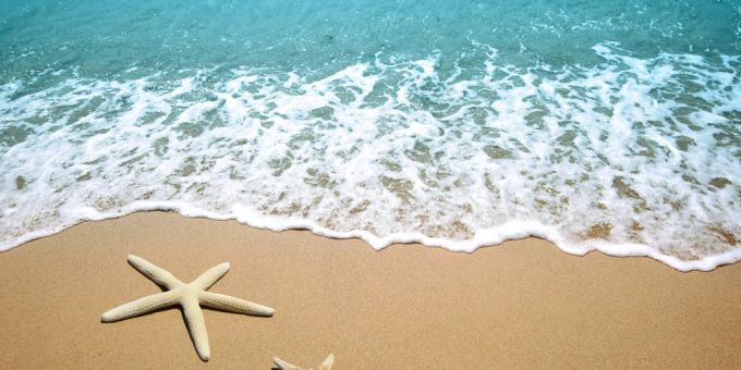 Traumhafte Strände ohne Massentourismus und das in Europa? Das gibt es. Seestern Meer Sandstrand