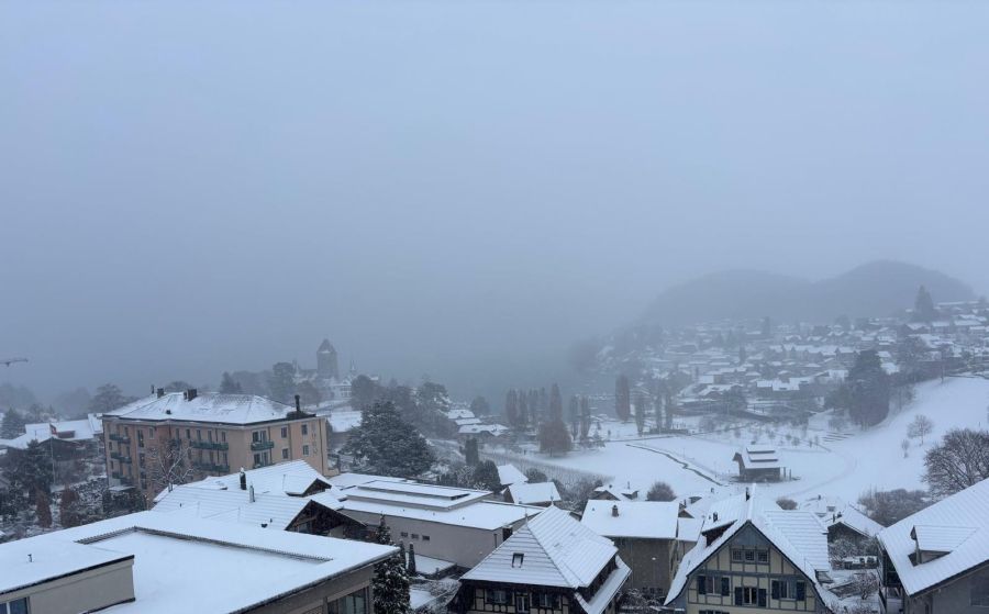 Spiez Schnee