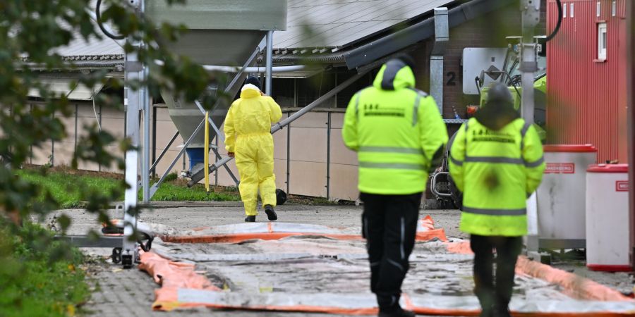 VOGELGRIPPE, GEFLUEGELPEST,