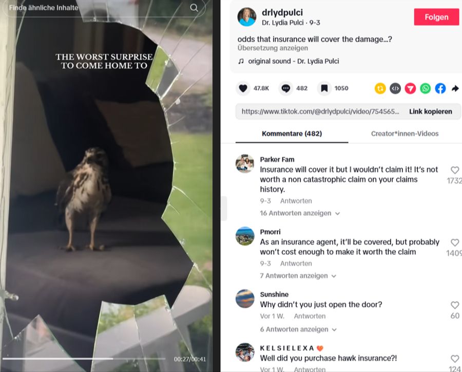 Hinter der eingebrochenen Scheibe ist der Falke auf dem Sofa zu sehen,