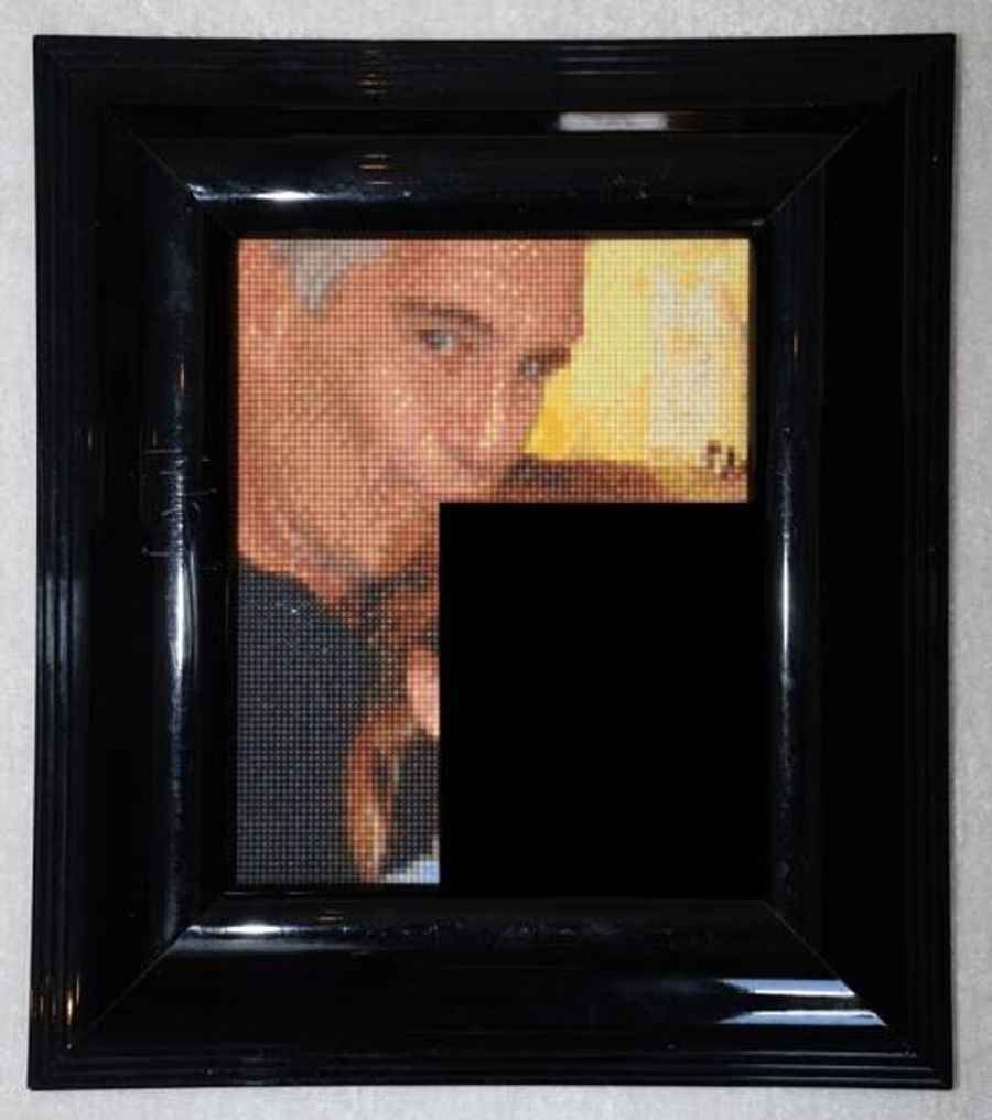 Die Bilder waren gerahmt und im Haus auf der Privatinsel ausgestellt.