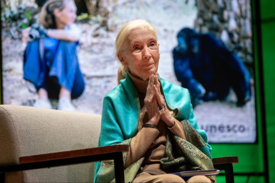 Jane Goodall