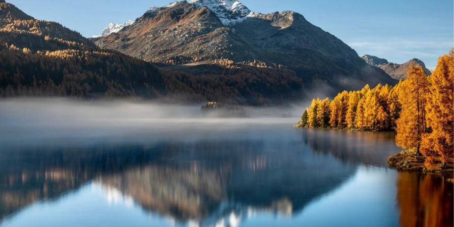 Engardin