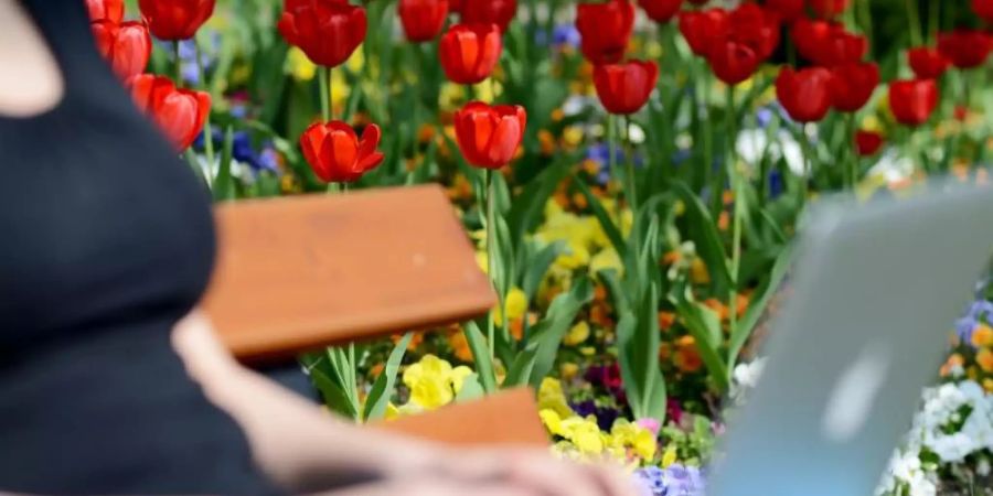 Eine junge Frau sitzt mit ihrem Notebook auf einer Parkbank. Mädchen und junge Frauen erleben laut einer Umfrage online mehr Belästigung als auf der Strasse. Foto: picture alliance / dpa