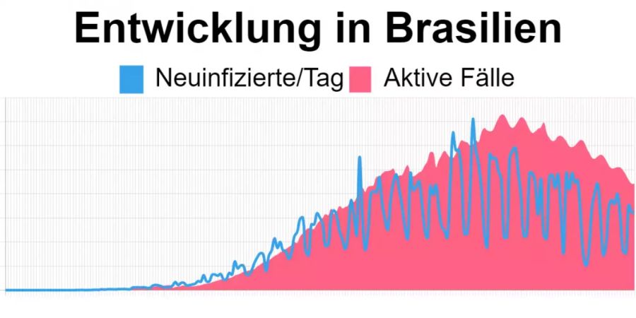 Brasilien Coronavirus