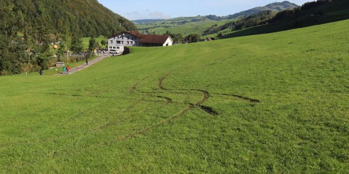 Land- und Sachschaden auf Weide. Land- und Sachschaden auf Weide