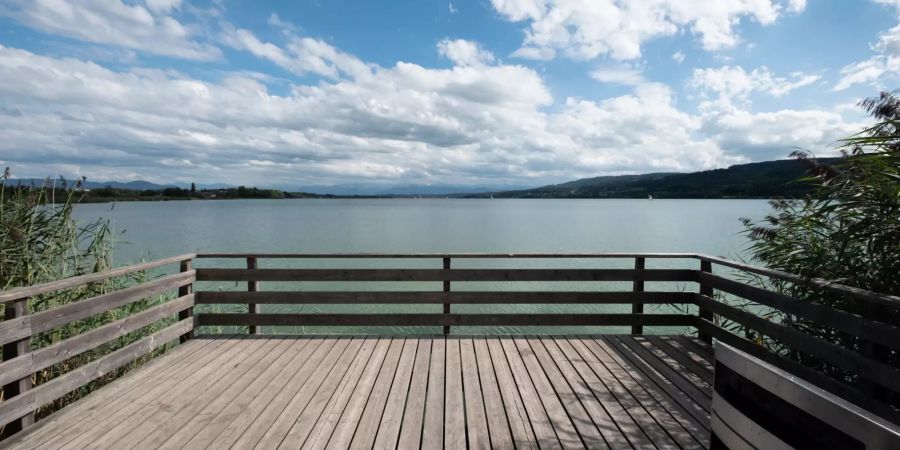 Aussichtspunkt am Greifensee in Schwerzenbach.