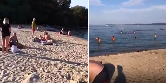 Neuenburgersee - Kantonsarzt: «Bakterien für Menschen nicht tödlich»