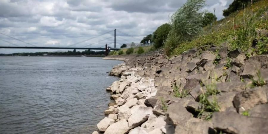 Deutlich in hell erkennbar ist der sonstige Wasserstand des Rheins. Foto: Marcel Kusch/dpa