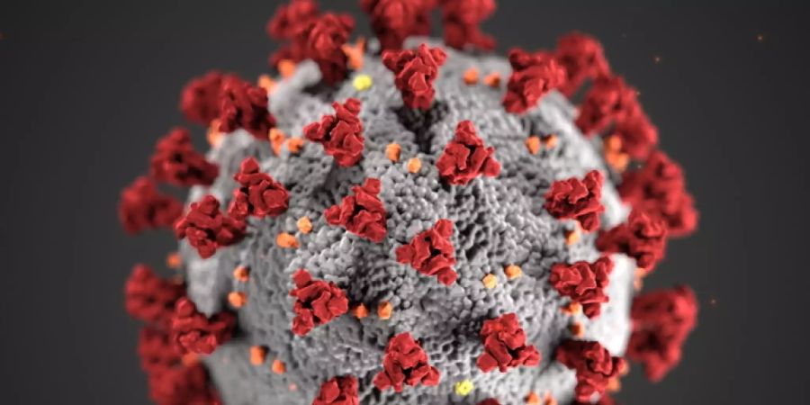 Das Bundesamt für Gesundheit hat am Dienstag 225 neue Coronavirus-Infizierte innerhalb von 24 Stunden gemeldet.