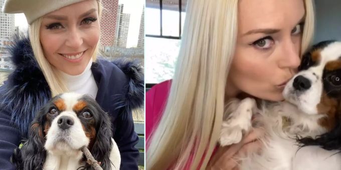 «The Pack» - Lindsey Vonn und ihre Hündin bekommen eigene TV-Show
