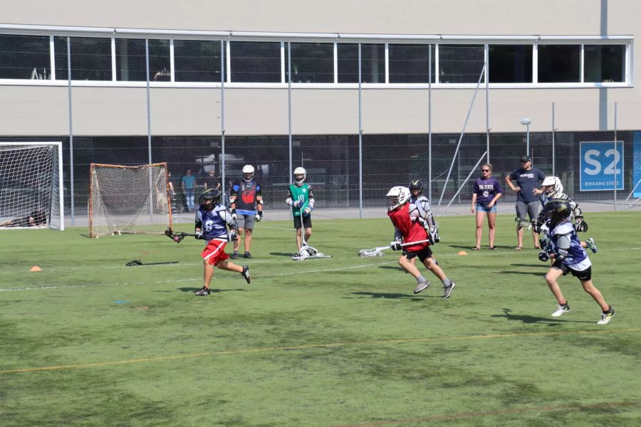 Saints Olten Lacrosse