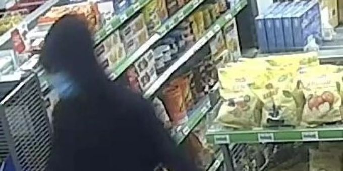 Der mutmassliche Täter auf dem Bild der Überwachungskamera. bonstetten