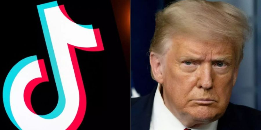 Tiktok-Logo neben Trump