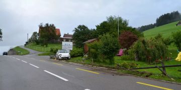 Lenkerin kollidierte mit einem Gartenzaun.