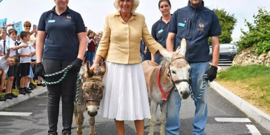 Die Herzogin von Cornwall zwischen den Eseln William (r) und Harry. Foto: Ben Birchall/PA