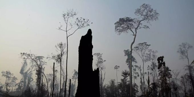 Verkohlte Bäume stehen nach einem Waldbrand in der Region Vila Nova Samuel in der Nähe der Stadt Porto Velho. Brände im Amazonas