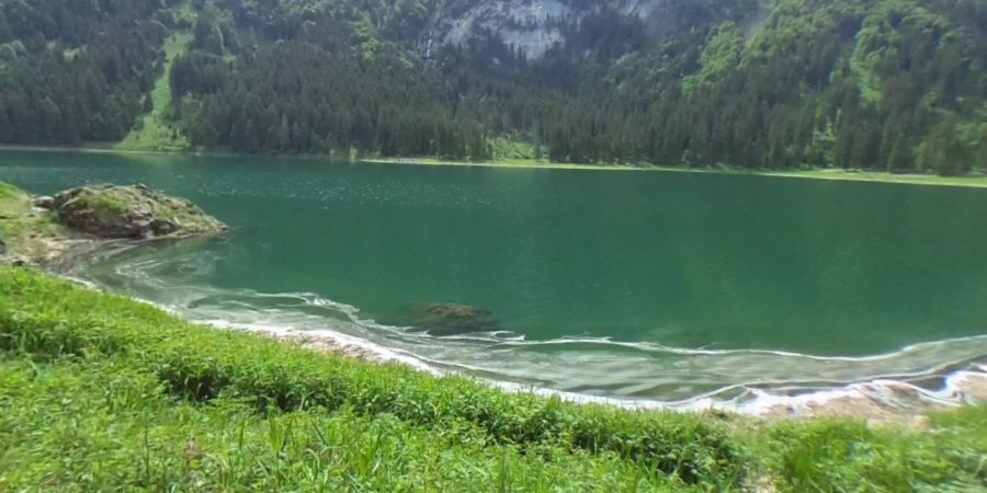 voralpsee