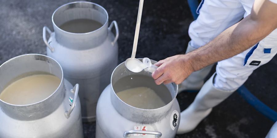 Für Bäuerinnen und Bauern nicht kostendeckend: Milch bei der Ablieferung in einer Käserei in Wald AR. (Archivbild)