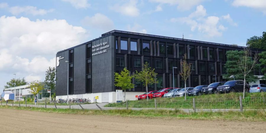 hochschule hafl zollikofen