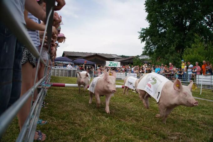 Sou-Fescht Egliswil 2018. Sou-Fescht Egliswil 2018