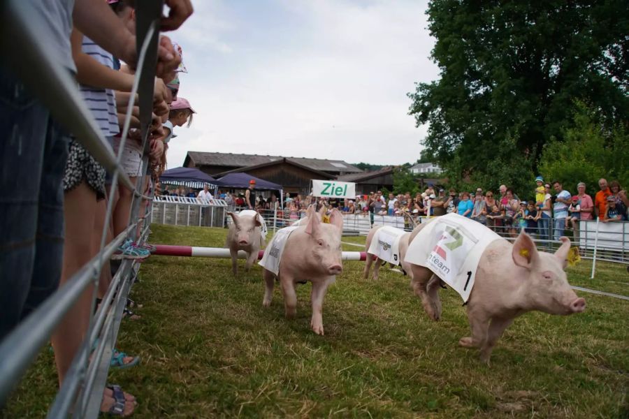 Sou-Fescht Egliswil 2018