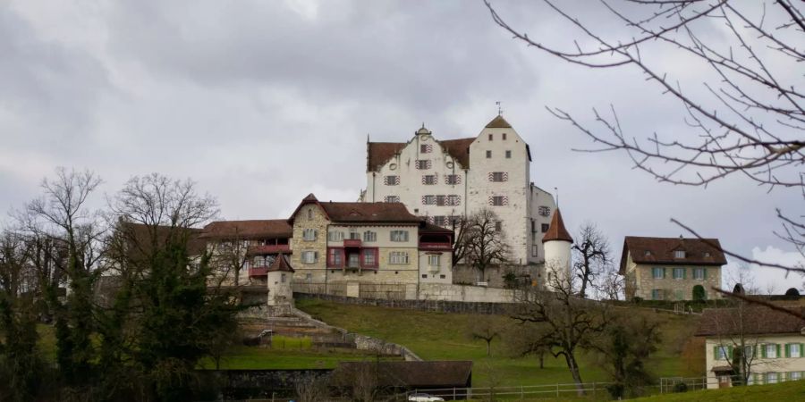 Das Schloss Möriken-Wildegg.