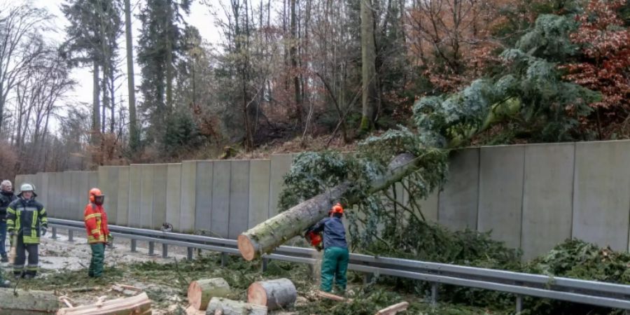 Einsatzkräfte beseitigen bei Karlsruhe einen umgestürzten Baum