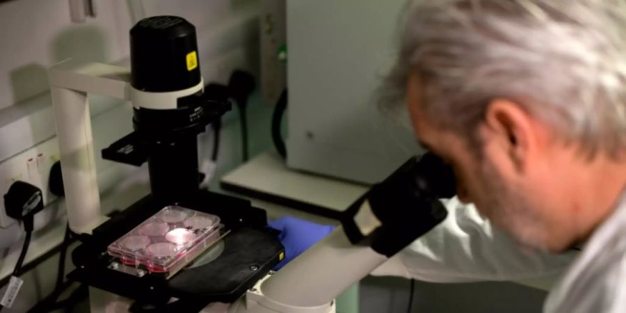 Forscher arbeiten derzeit an der Entwicklung eines Impfstoffs