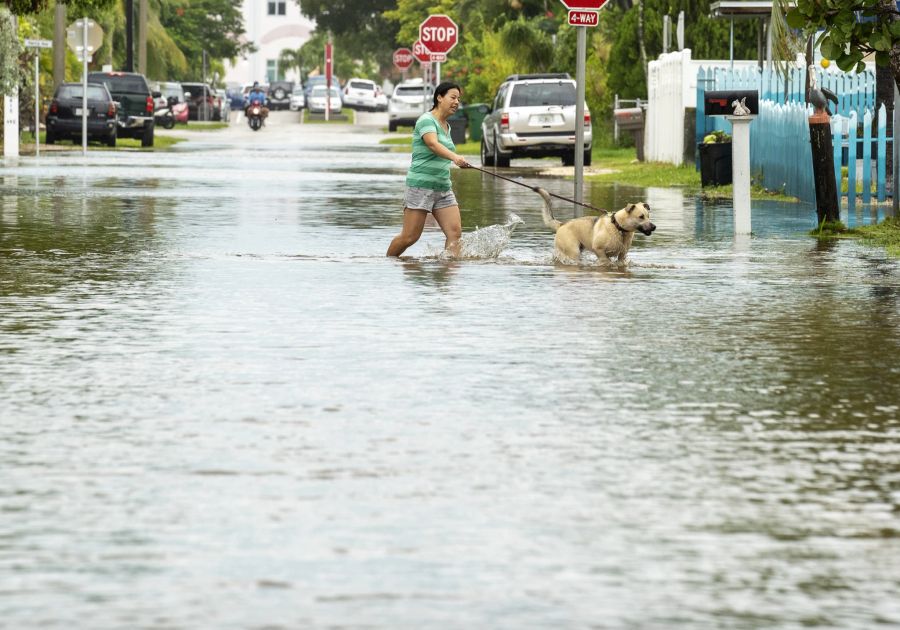 Eine Bewohnerin in Key West spaziert mit ihrem Hund durch die überschwemmten Strassen.