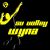 SV Volley Wyna