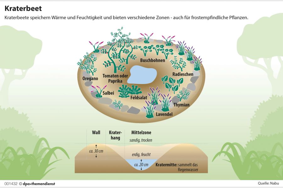 Grafik Kraterbeet Garten Pflanzen