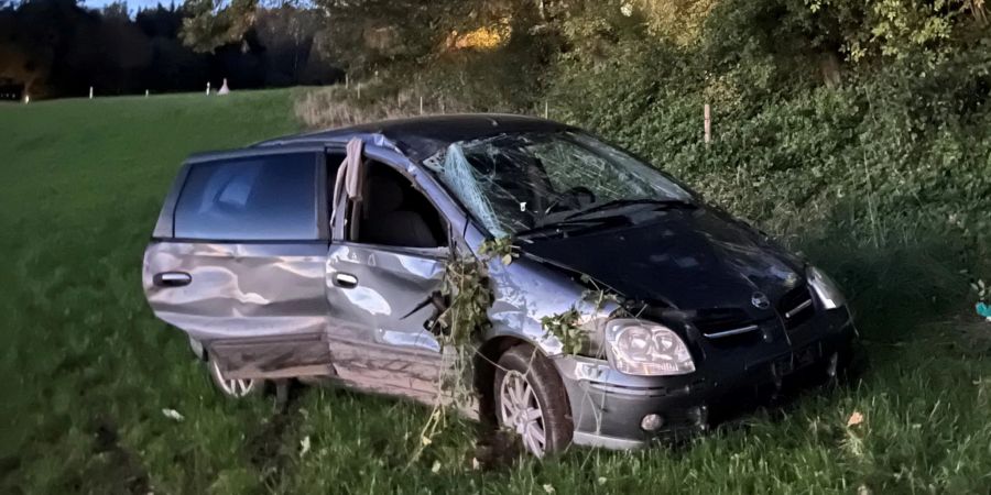 Der Autofahrer wurde mittelschwer verletzt.