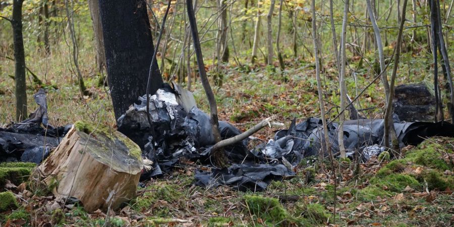 Das Flugzeugwrack an der Absturzstelle im Wald.