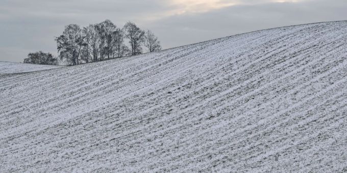 11 Grad, dann kalt - Heute mild - morgen sinkt die Schneefallgrenze