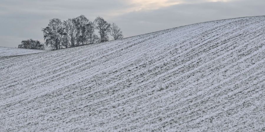 Schnee liegt auf den Hügeln am Rande des Oderbruchs.
