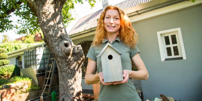 Fokus Tier - Unterschlupf für Tiere: Nistkästen im Herbst reinigen