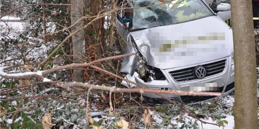 Endstation Baum. Unfall in Solothurn.