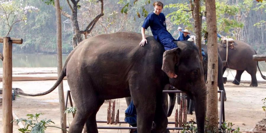 Nach einem Todesfall üben Tierschützer scharfe Kritik an Elefantencamps. (Archivbild)