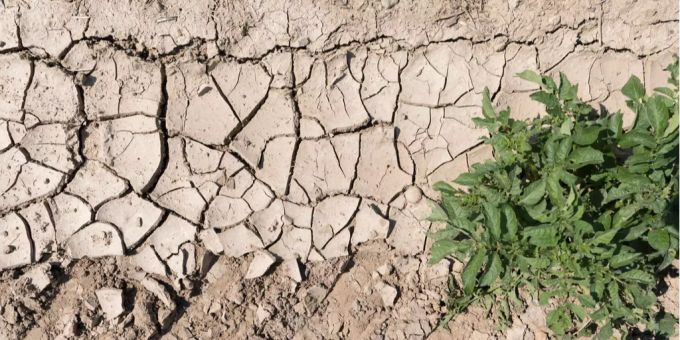 In Südafrika herrscht die grösste Dürre seit Jahrhunderten. Wasserkrise