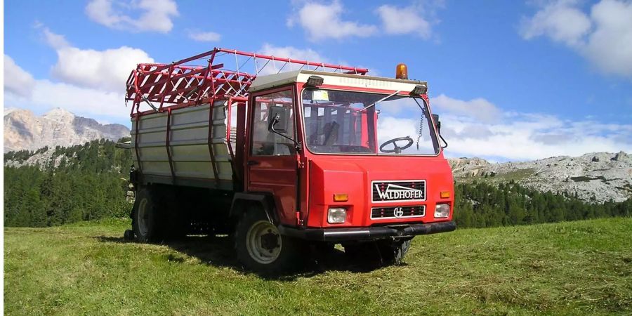 Der Heuwagen kippte im steilen Gelände um (Symbolbild).