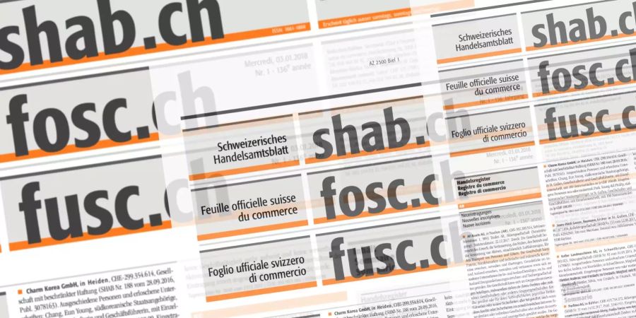 Das Online-Handelsregister shab.ch des Bundes sollte von den Kantonen mit Daten versorgt werden. Wenn man bloss daran gedacht hätte, dass die Systeme kompatibel sein sollten. Oder... gleich?!