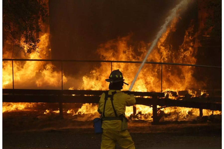 Der Kampf gegen die Flammen ist beinahe aussichtslos.