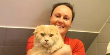 Kater "Hank"