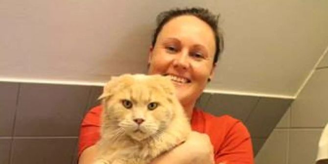Kater "Hank"