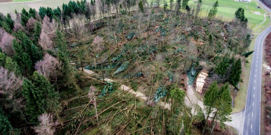 «Burglind» riss viele Bäume um.