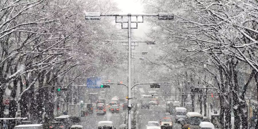 In Japan kämpft die Bevölkerung gegen Schneestürme.