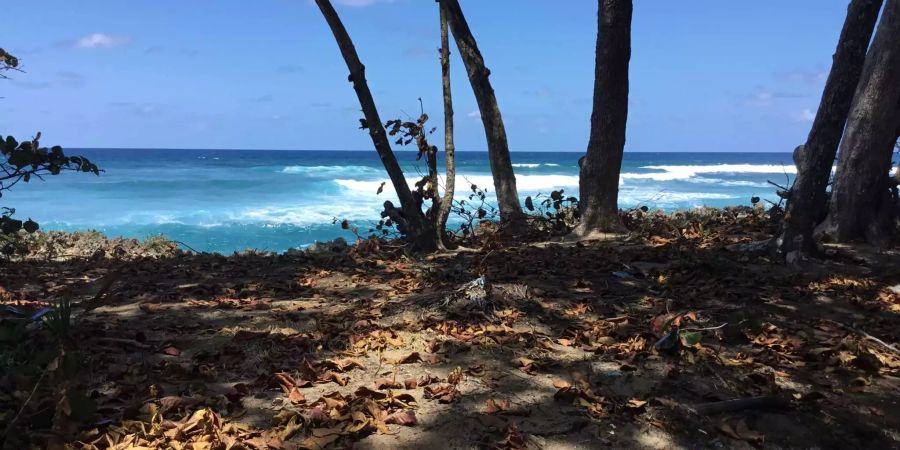 Der Strand und das Meer, praktisch überall eine Wucht in Costa Rica