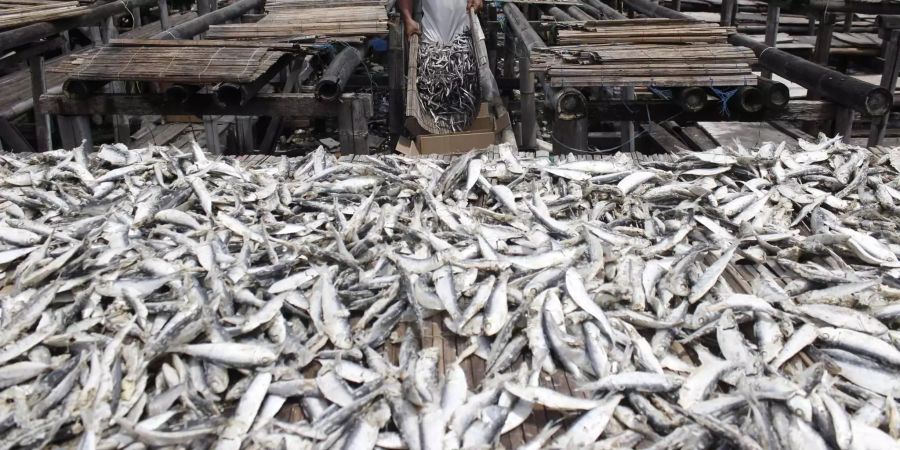 Der Fischkonsum von Herr und Frau Schweizer ging erstmals nach langer Zeit zurück.