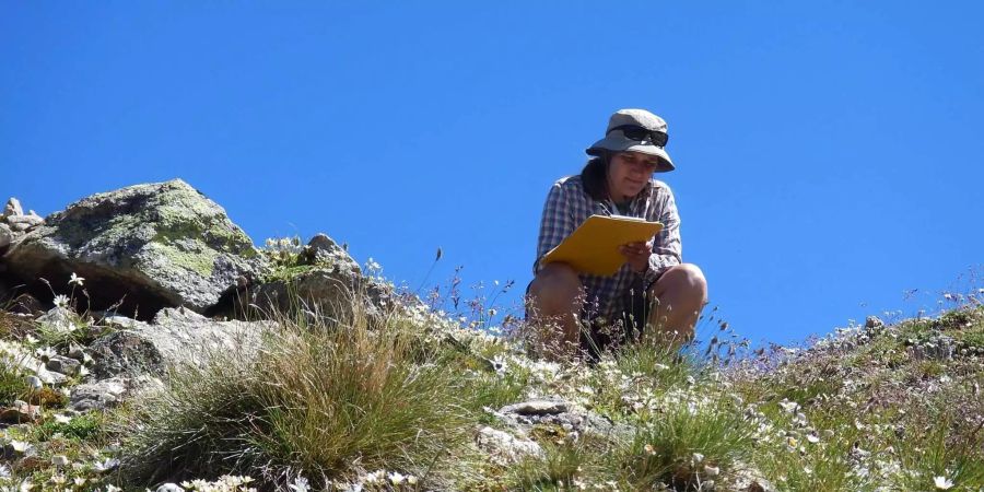 Botanikerin Sonja Wipf notiert die Pflanzenarten auf dem Mot dal Gajer im Engadin. Bild: Naturen/Sarah Burg